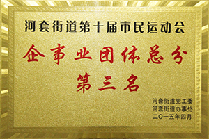 河套街道第十届市民运动会企事业组团体总分第三名