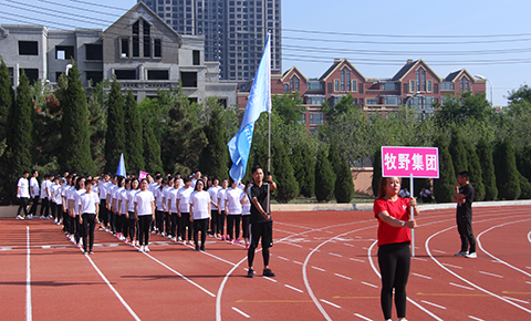 牧野集团获河套街道第十四届运动会企事业组第二名