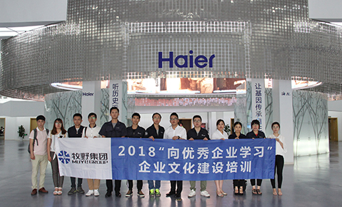 Learning from outstanding companies—Haier